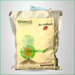 Ropansathi Succulent Special