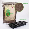 Ropansathi_seed_inside_pack